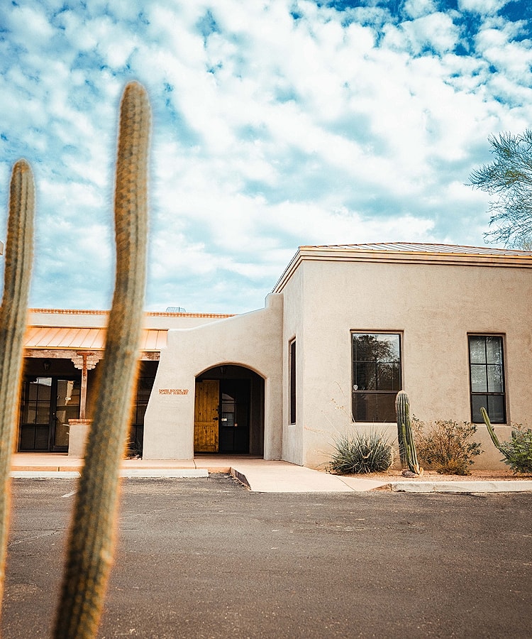 Southwestern building with cacti under blue sky.