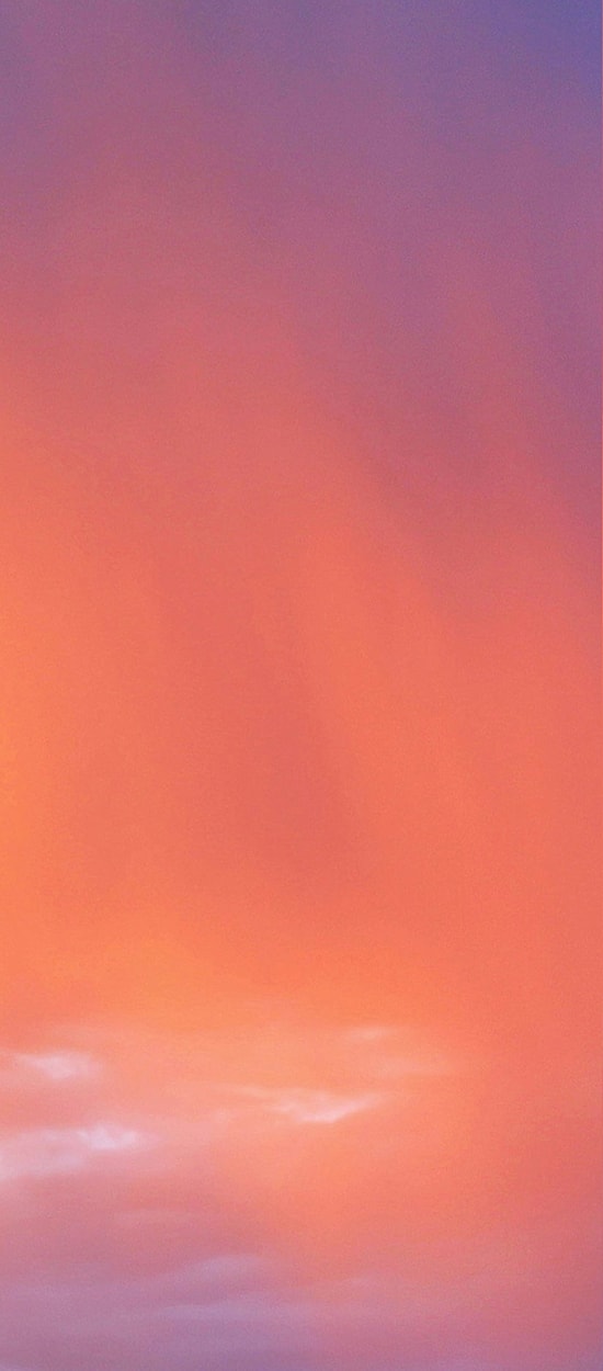 Tall cacti against a vibrant sunset sky.